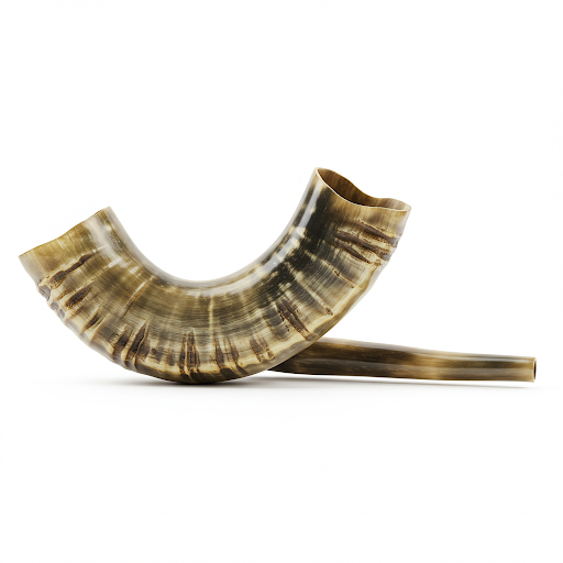 curso de Shofar